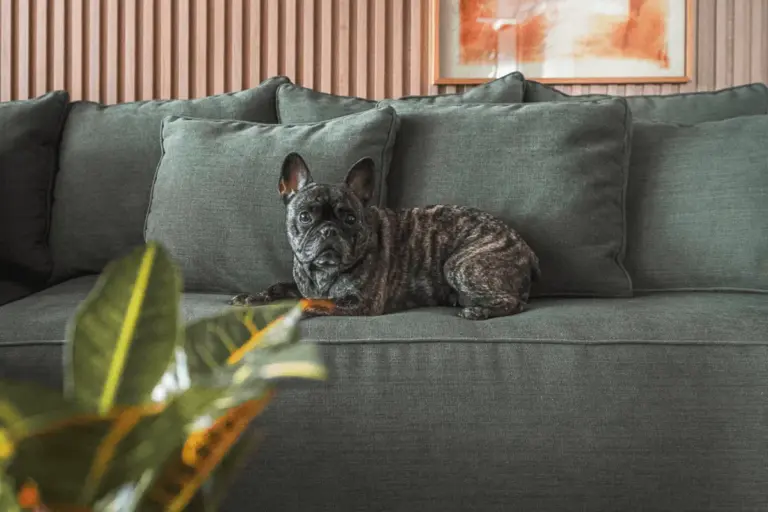 dynamic stretching outdoor fitness Germany