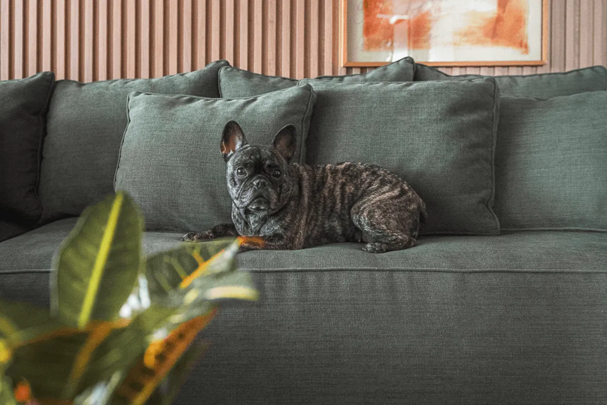 dynamic stretching before workout outdoors