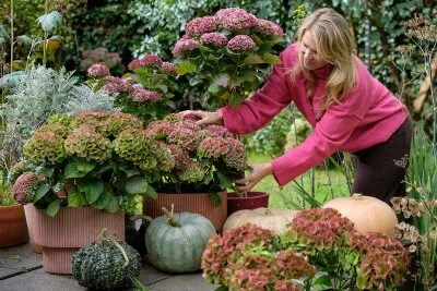 energy saving thermal curtains window Germany