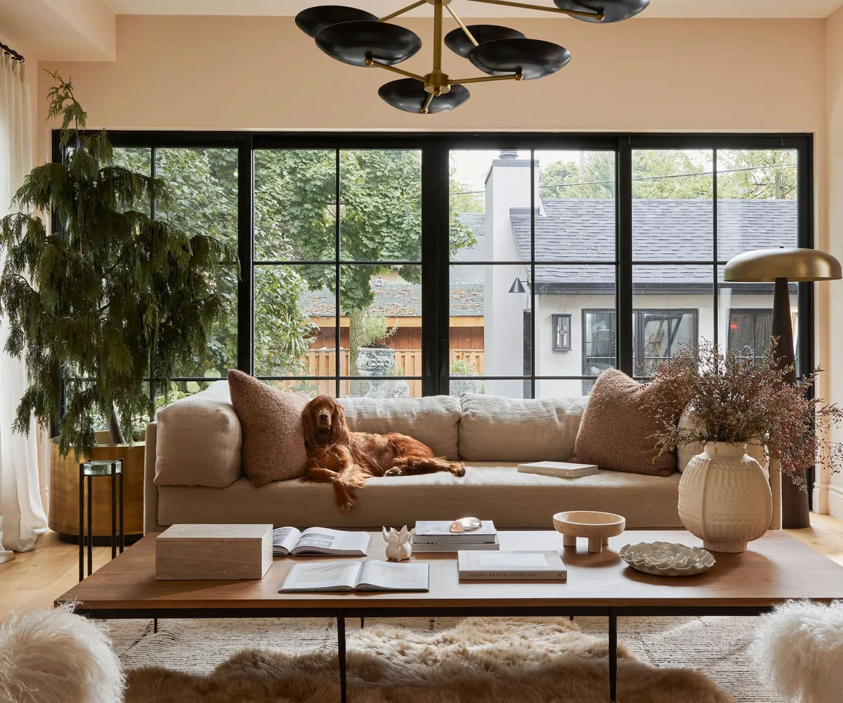 motivated student learning success happy classroom germany