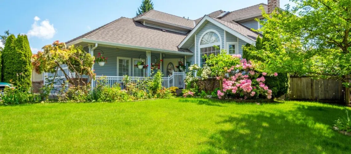 natural eco friendly floor cleaning home