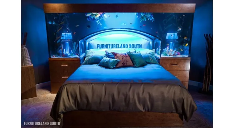 feng shui organized home office modern daylight plants