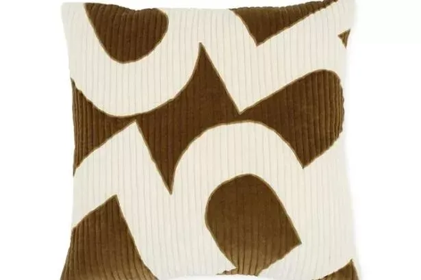 auto vs bike relaxation germany countryside urban