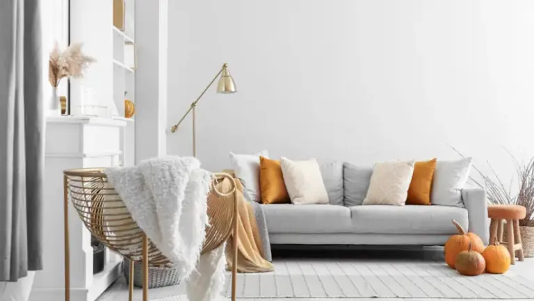 fermented cabbage healthy winter table