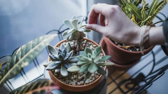 energy saving timer socket German home