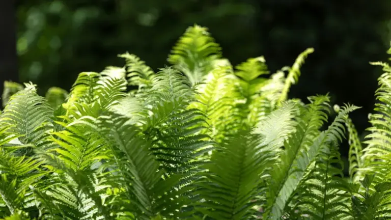 family homeschooling Germany modern