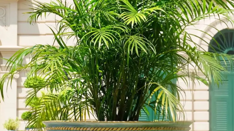 retired couple planning finances modern home