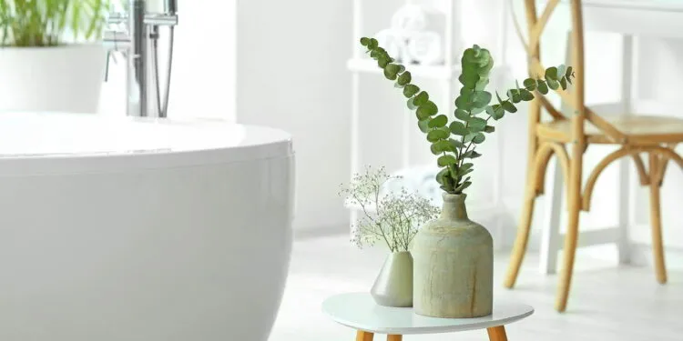 natural floor cleaning tools home