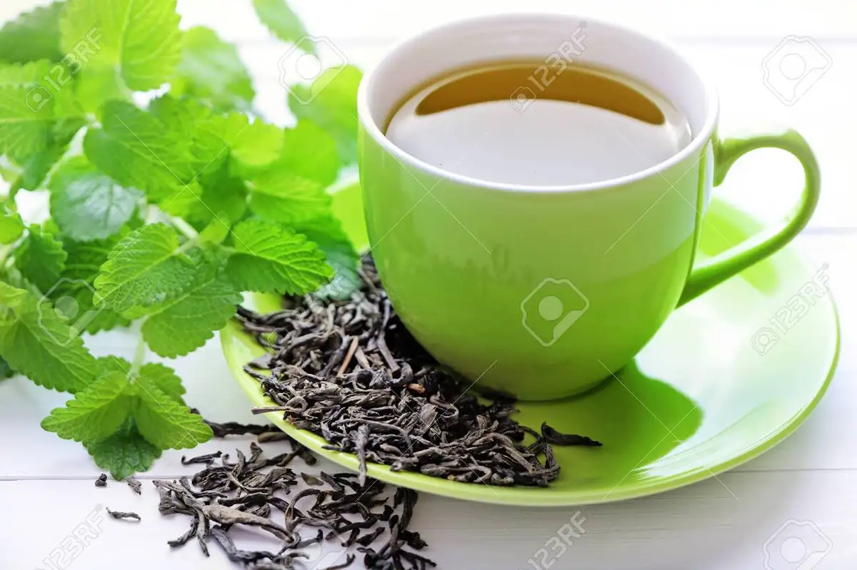 fresh green tea leaves with teacup