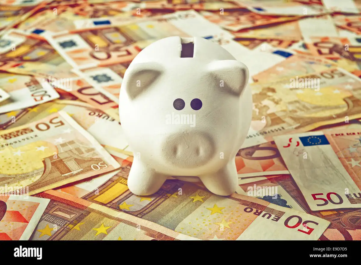piggy bank on desk with euro notes around