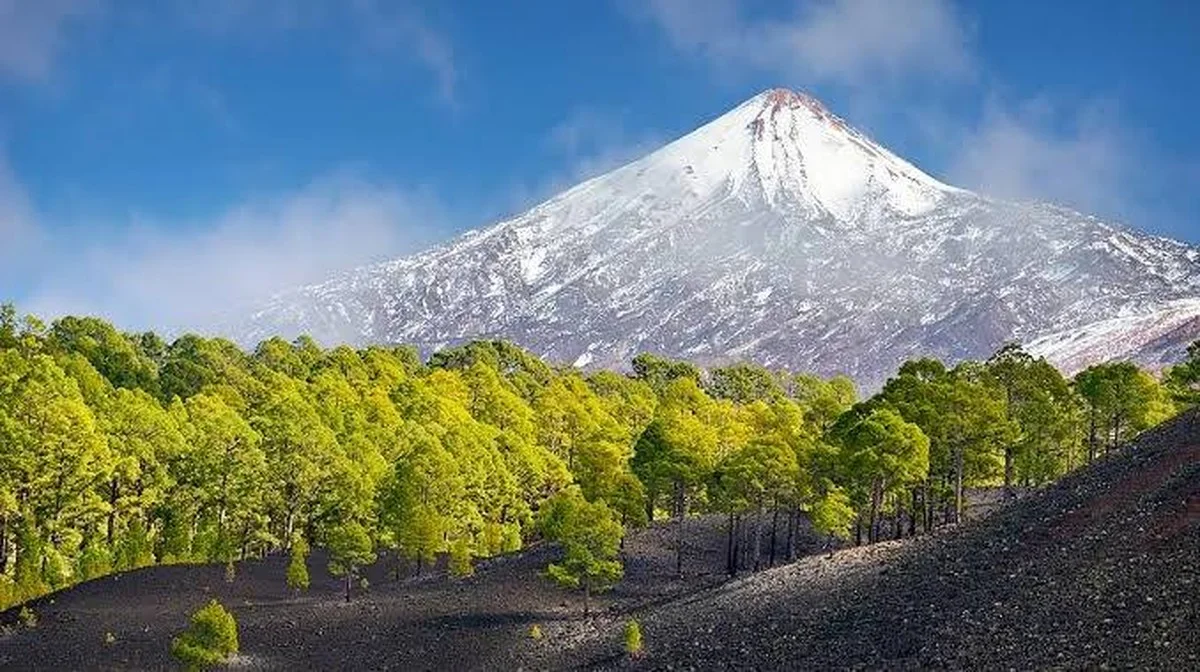 14 Beben in Teneriffa! Warum Experten jetzt Ruhe bewahren (Sie machen fast alle den gleichen Fehler)