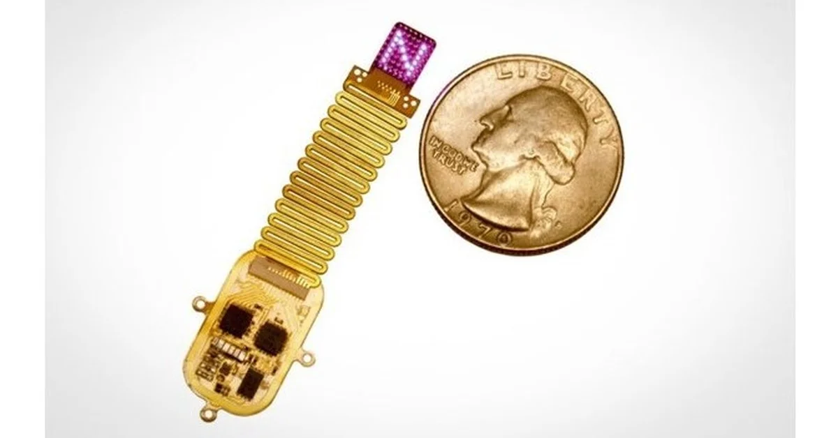 Achtung: Die Forscher codieren gerade Nachrichten direkt ins Gehirn – und niemand redet darüber.