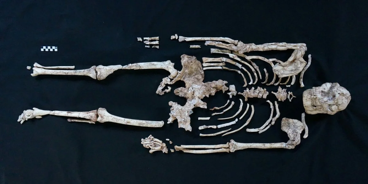 Das Skelett, das unsere Ahnen-Story AUF DEN KOPF STELLT - image 1