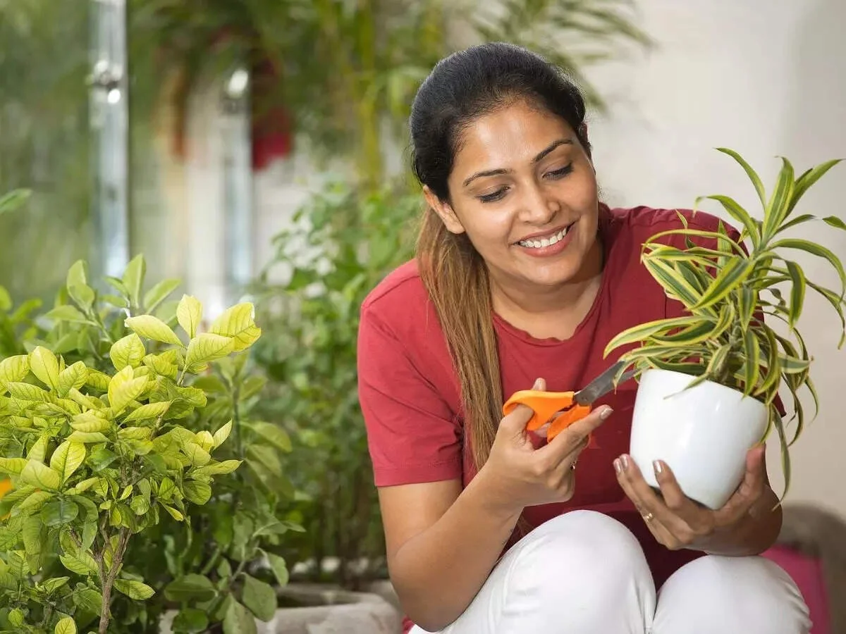Der Job weg, die Wohnung weg: Dieses Mini-Hobby rettete meine Ehe im Elternhaus. - image 2