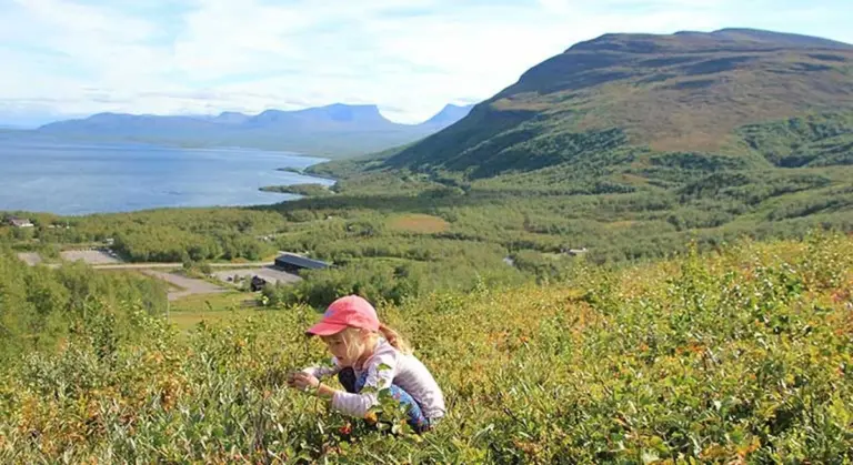 Die Experten schauen weg: Dieses einzigartige Naturwunder in Nordschweden verschwindet schneller als Sie denken
