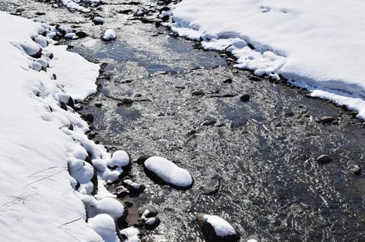 Die Experten schauen weg: Dieses einzigartige Naturwunder in Nordschweden verschwindet schneller als Sie denken - image 2