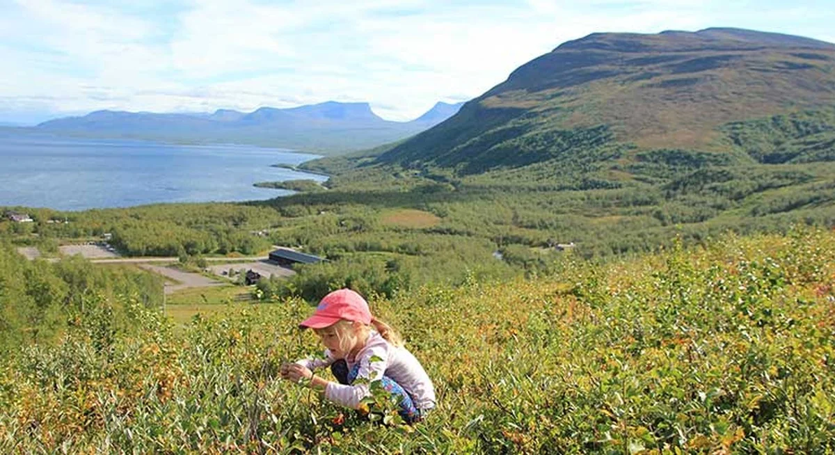 Die Experten schauen weg: Dieses einzigartige Naturwunder in Nordschweden verschwindet schneller als Sie denken