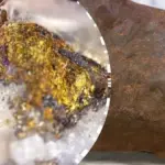 Die faszinierenden Geheimnisse der Hundekommunikation