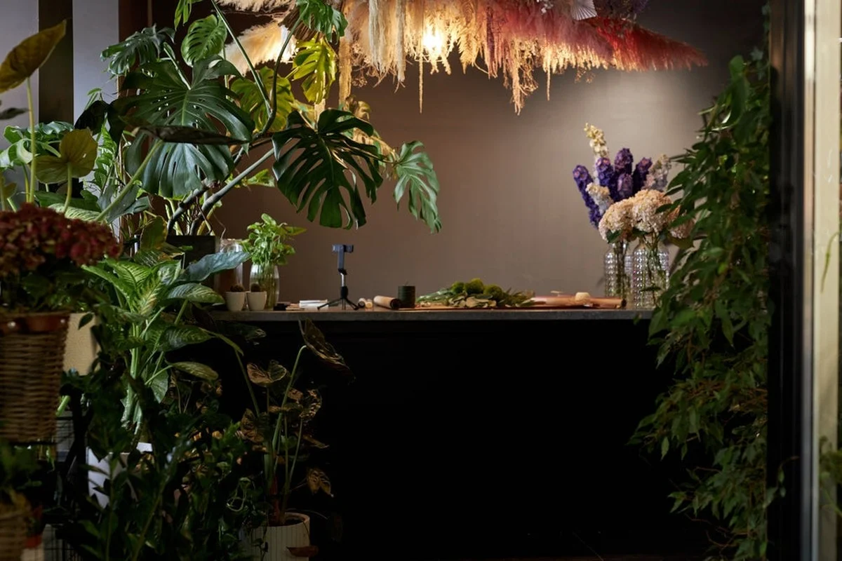 Diese 8 Pflanzen blühen auf, wo andere schon lange aufgegeben haben - image 1