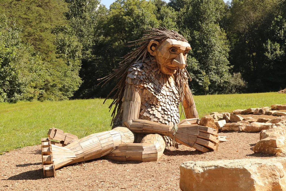 Diese Bäume sind höher als jeder Wohnblock – und Sie stehen jeden Tag neben viel kleineren - image 2