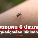 Die sechs Typen von Menschen, die besonders von Mücken angezogen werden