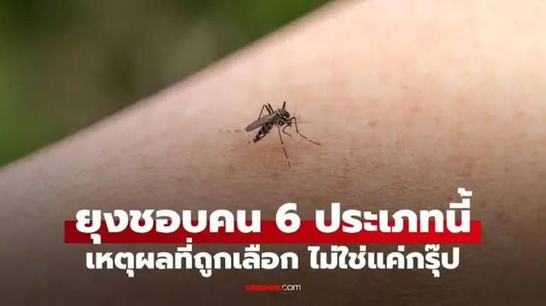 Die sechs Typen von Menschen, die besonders von Mücken angezogen werden