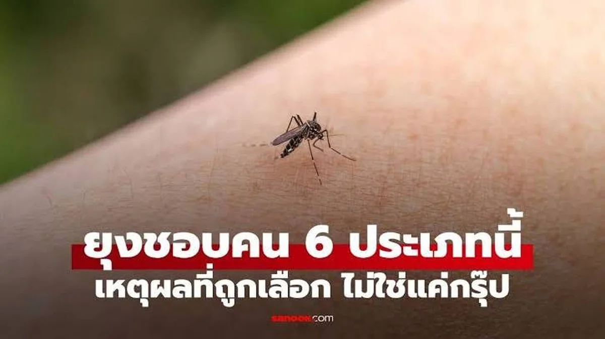 Die sechs Typen von Menschen, die besonders von Mücken angezogen werden