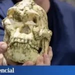 Dieser 3-Millionen-Jahre-alte Fund krempelt die Menschheitsgeschichte um