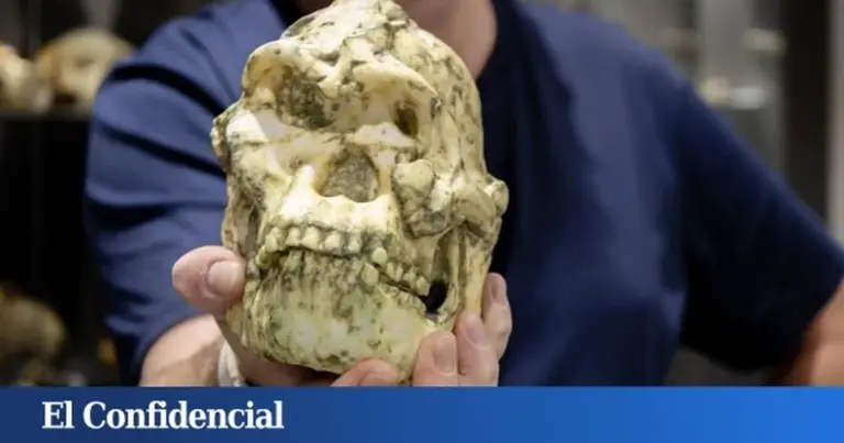 Dieser 3-Millionen-Jahre-alte Fund krempelt die Menschheitsgeschichte um