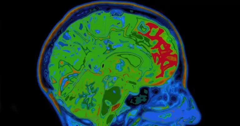 Dieser eine Schalter im Gehirn entscheidet, ob du süchtig wirst oder lernst