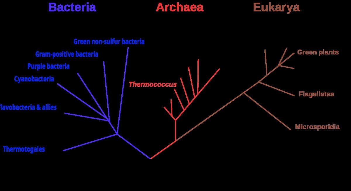 Dieser eine Urzeit-Job macht Sie heute noch reicher als LUCA - image 2