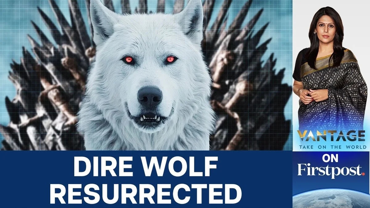 Dieser Wolf starb vor 10.000 Jahren aus – jetzt haben sie ihn zurückgeholt (und es ist kein Klon) - image 1