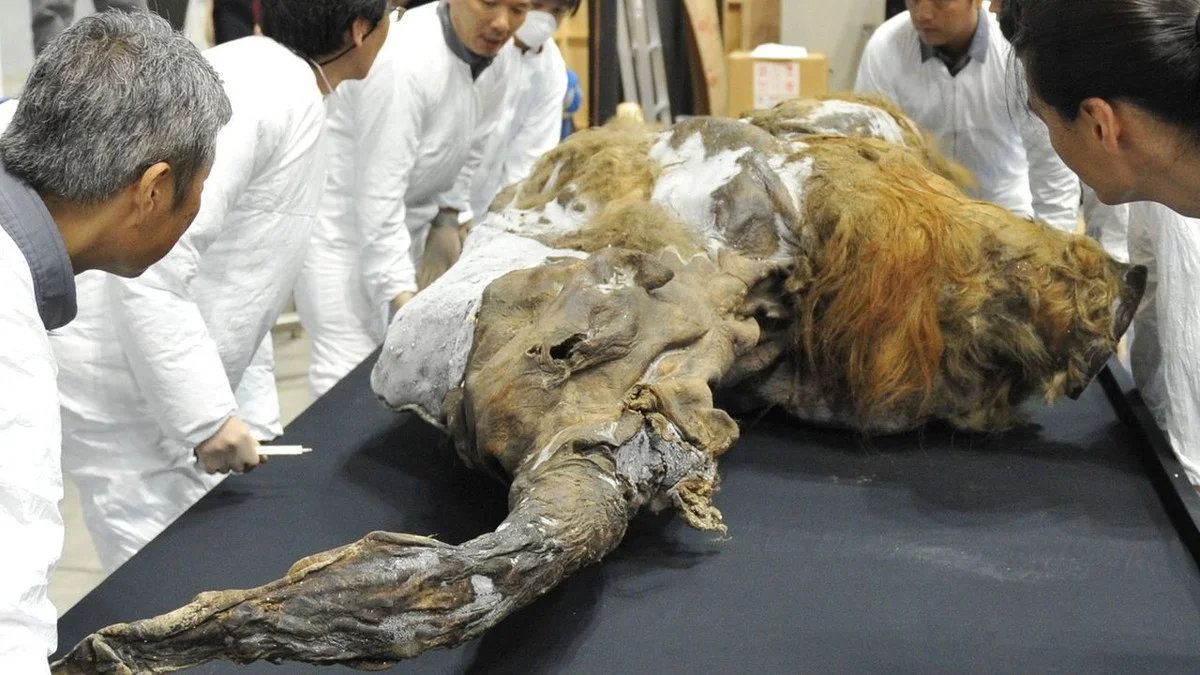 Dieser Wolf starb vor 10.000 Jahren aus – jetzt haben sie ihn zurückgeholt (und es ist kein Klon) - image 2