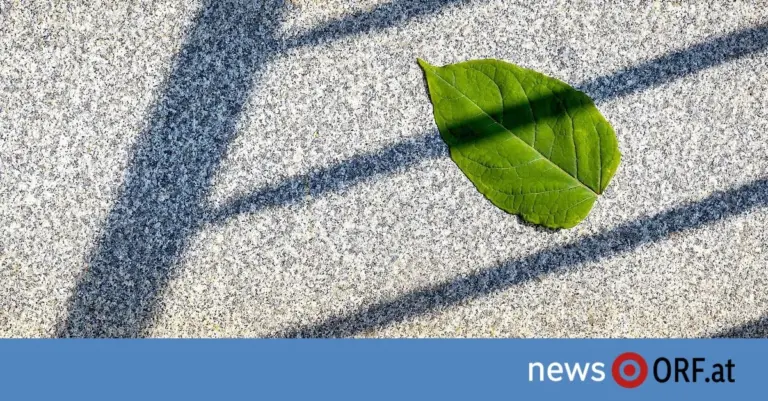 Dieses eine Detail aus Paris lässt die Weltklimaziele schneller kippen als gedacht