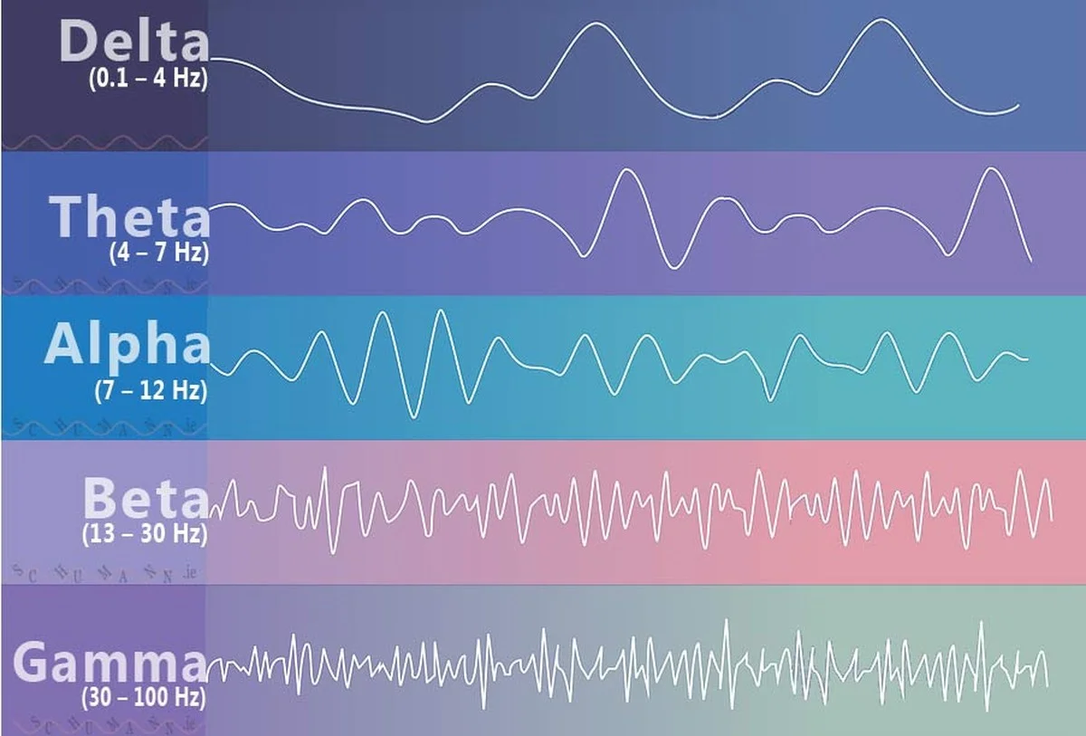 Dieses eine Detail trennt wachen Geist von Schlaf: Forscher entdecken kosmische Verbindung - image 2