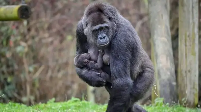 Dieses eine Ereignis verkürzt Ihr Leben um bis zu 20% – jetzt sofort stoppen