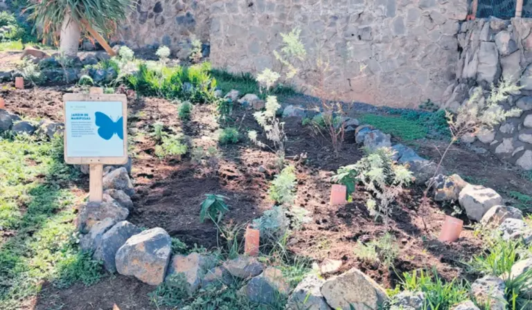 Diese Wasserwerke stecken heimlich Tausende in Blumen – was sie wirklich vor den Schmetterlingen verbergen.