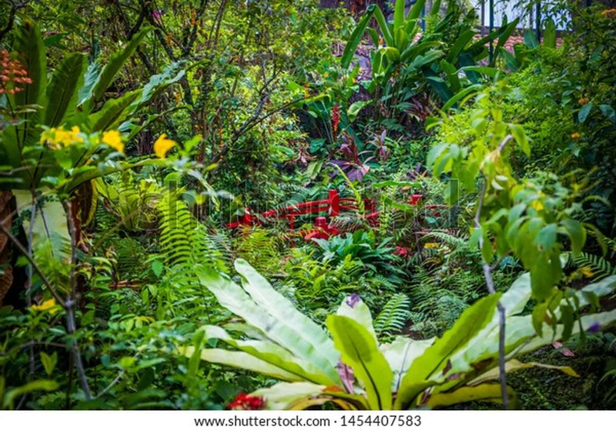 Diese winzige Pflanze ist seltener als Gold – und Sie treten sie beim nächsten Grillen wahrscheinlich kaputt. - image 2