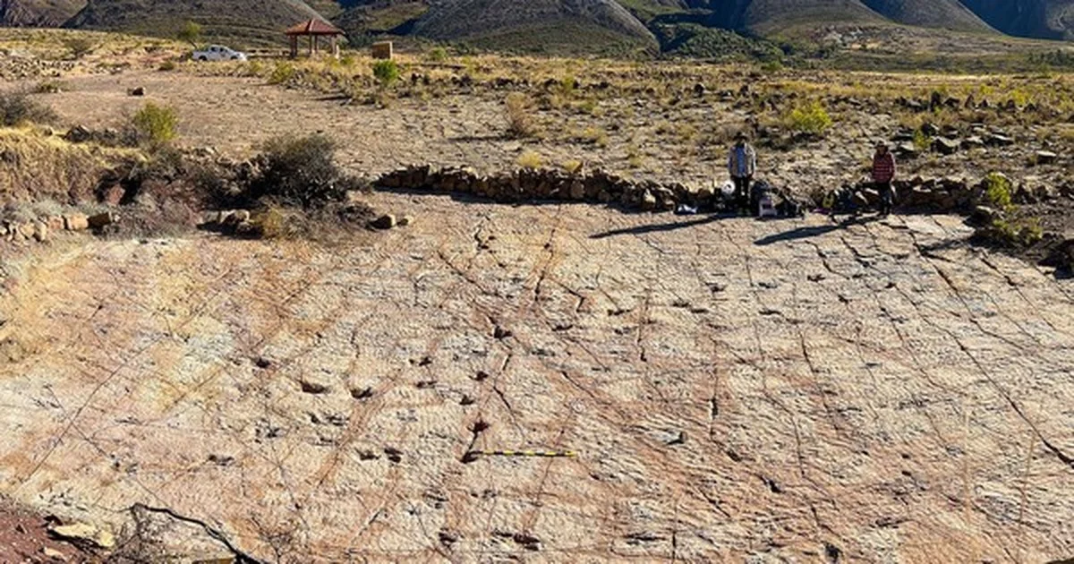 Entdeckung von Dinosaurier-Spuren in Bolivien: Eine faszinierende Entdeckung