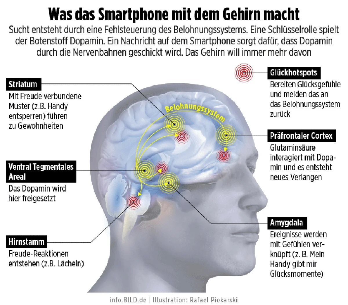 Experten warnen: 72 Stunden im Netz töten langsam diesen einen Skill in deinem Gehirn - image 1