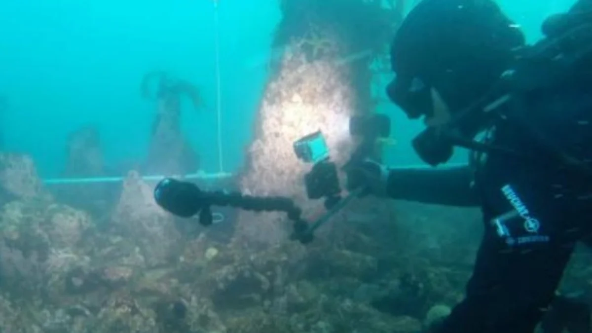 Forscher glaubten an Kartenfehler: Diese 7000 Jahre alte Atlantik-Mauer stellte alles infrage