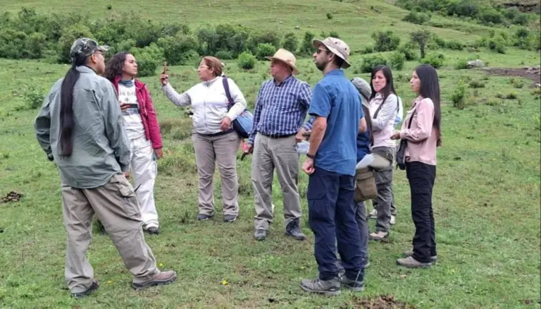 geologische geheimnisse: warum diese region 500 millionen jahre alte skelette verbirgt