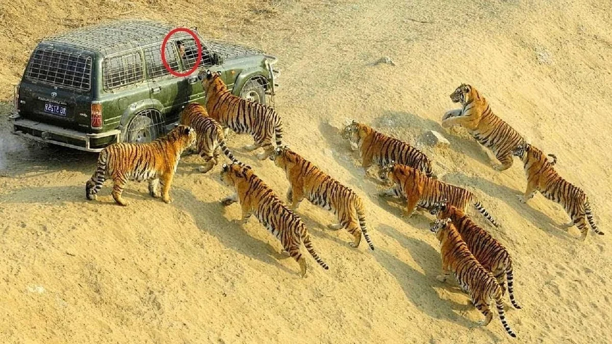 Ich hielt den Tod in der Hand: Dieser Winzling auf den Philippinen hat kein Gegenmittel - image 2