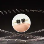 Innovativer Mikroroboter: Schnelles Fliegen und agile Manöver im Kleinformat