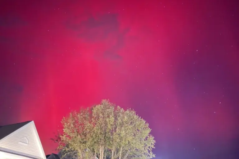 Mögliche Nordlichter über Washington D.C.: Ein Blick nach Norden