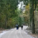 Neue Entdeckungen über Biodiversität in Litauens alten Wäldern