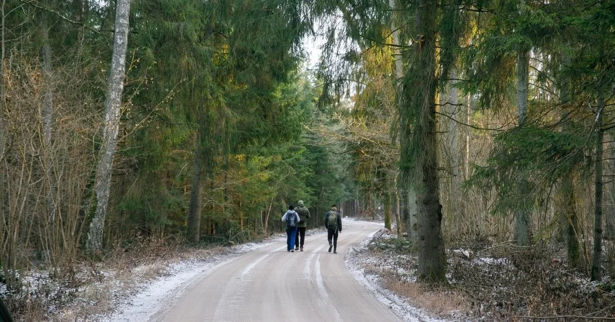 Neue Entdeckungen über Biodiversität in Litauens alten Wäldern