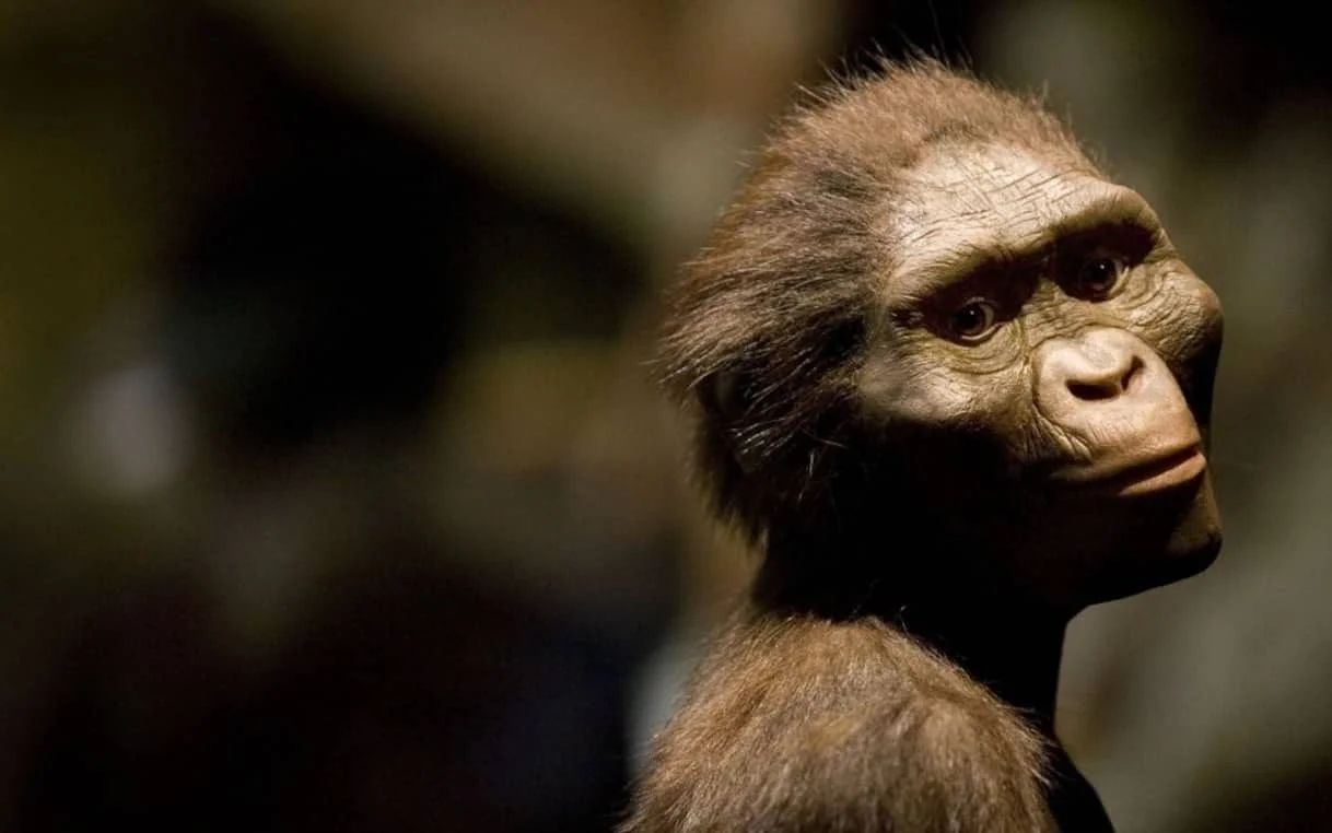 Neue Erkenntnisse über die Lebensweise der Australopithecus Arten