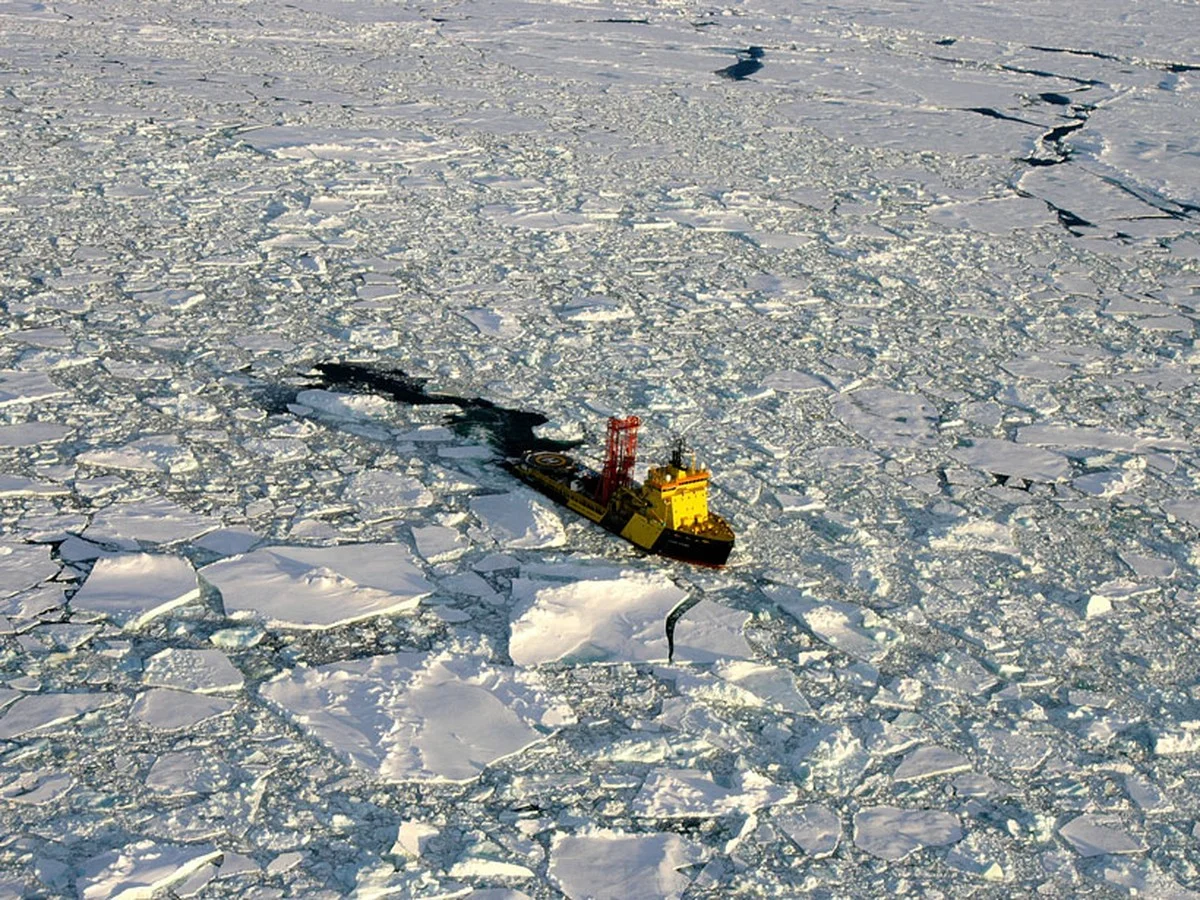 Stopp! Dieses Geheimnis vom Meeresgrund verbrennt Ihre Zukunft – und niemand spricht darüber. - image 2