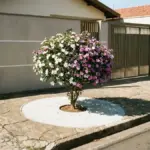 Stoppen Sie Bankerottausgaben: Diese eine Pflanze zerstört garantiert NICHT Ihren Gehweg